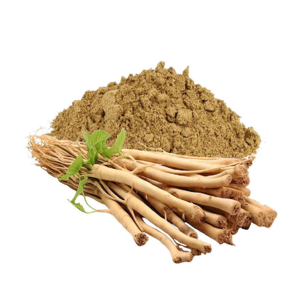 Shatavari Powder - Bulk - The Health Junkie
