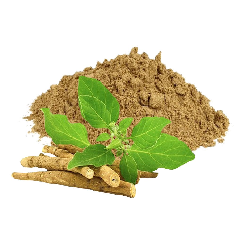 Ashwagandha Powder - Bulk - The Health Junkie