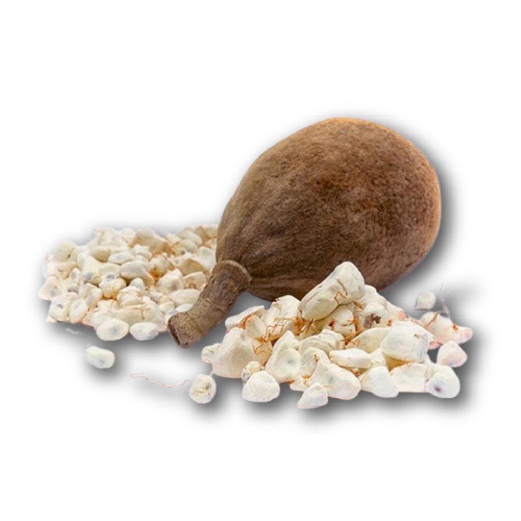 Baobab Powder - Bulk - The Health Junkie