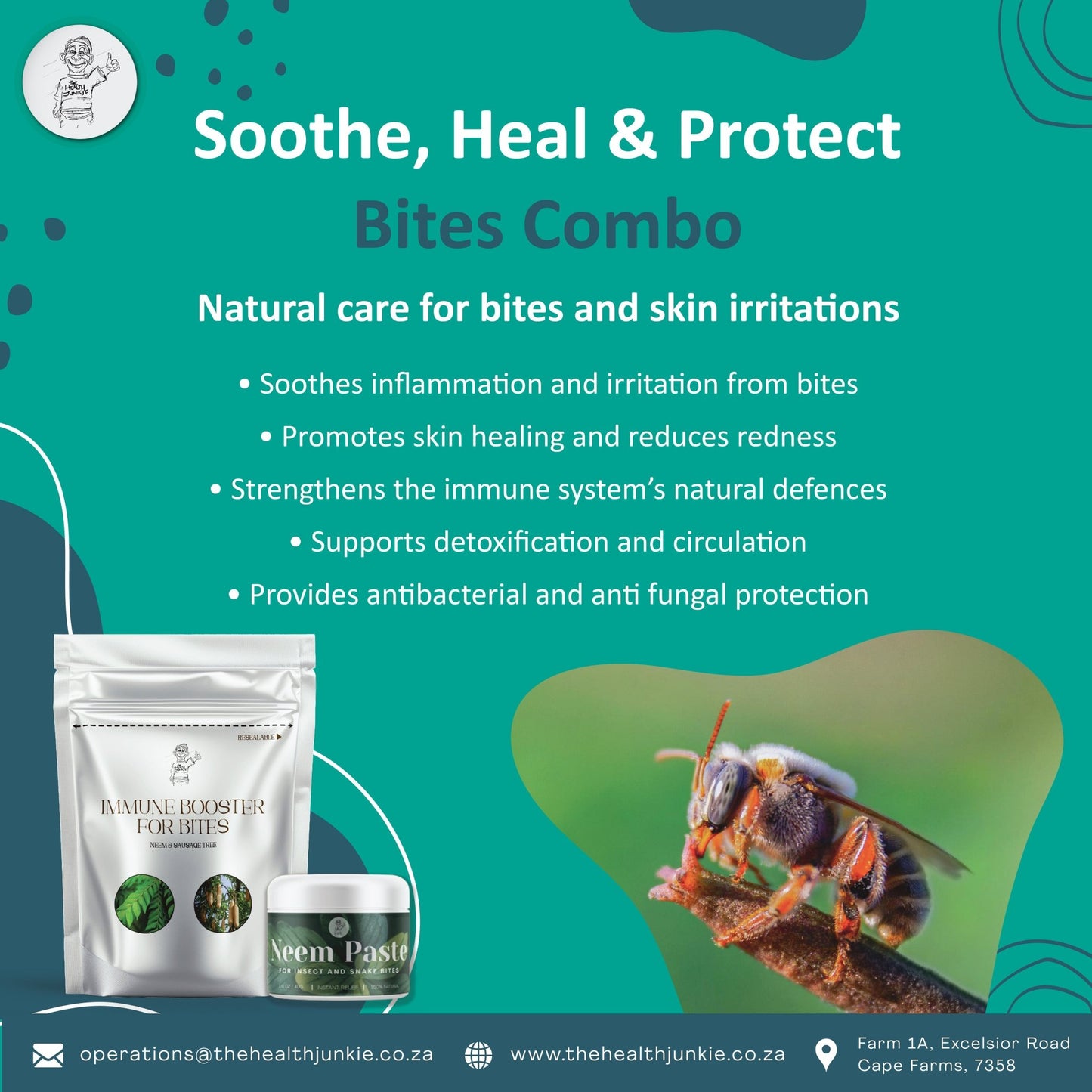 Bites Combo - The Health Junkie