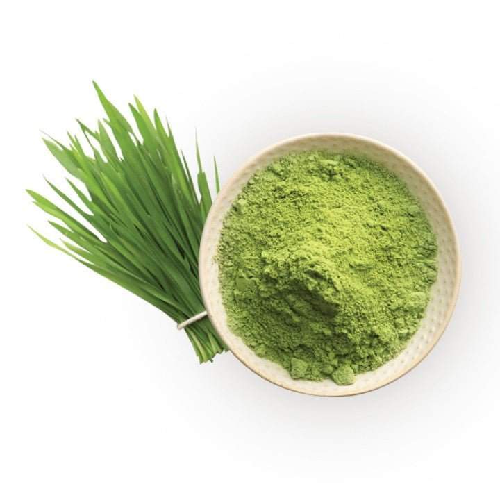 Wheatgrass Powder - Bulk - The Health Junkie