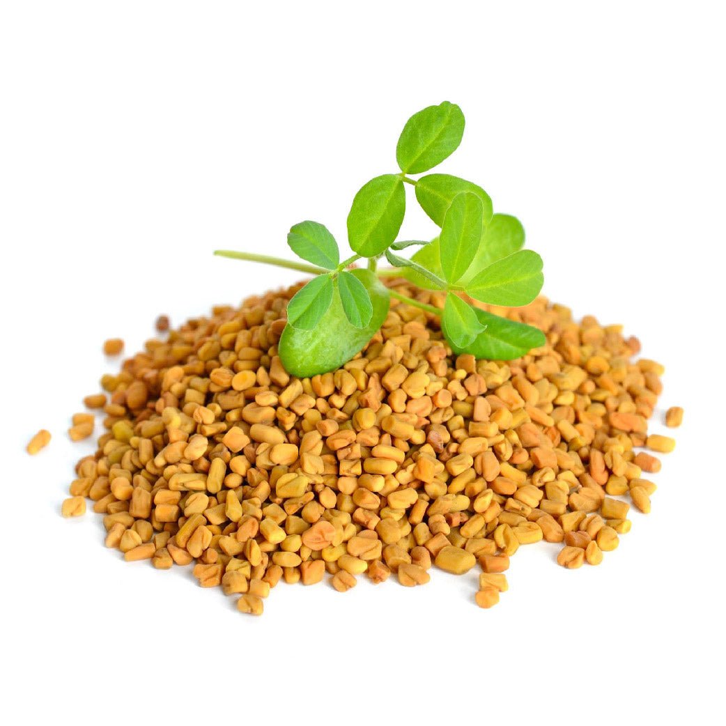 Fenugreek Powder - Bulk - The Health Junkie
