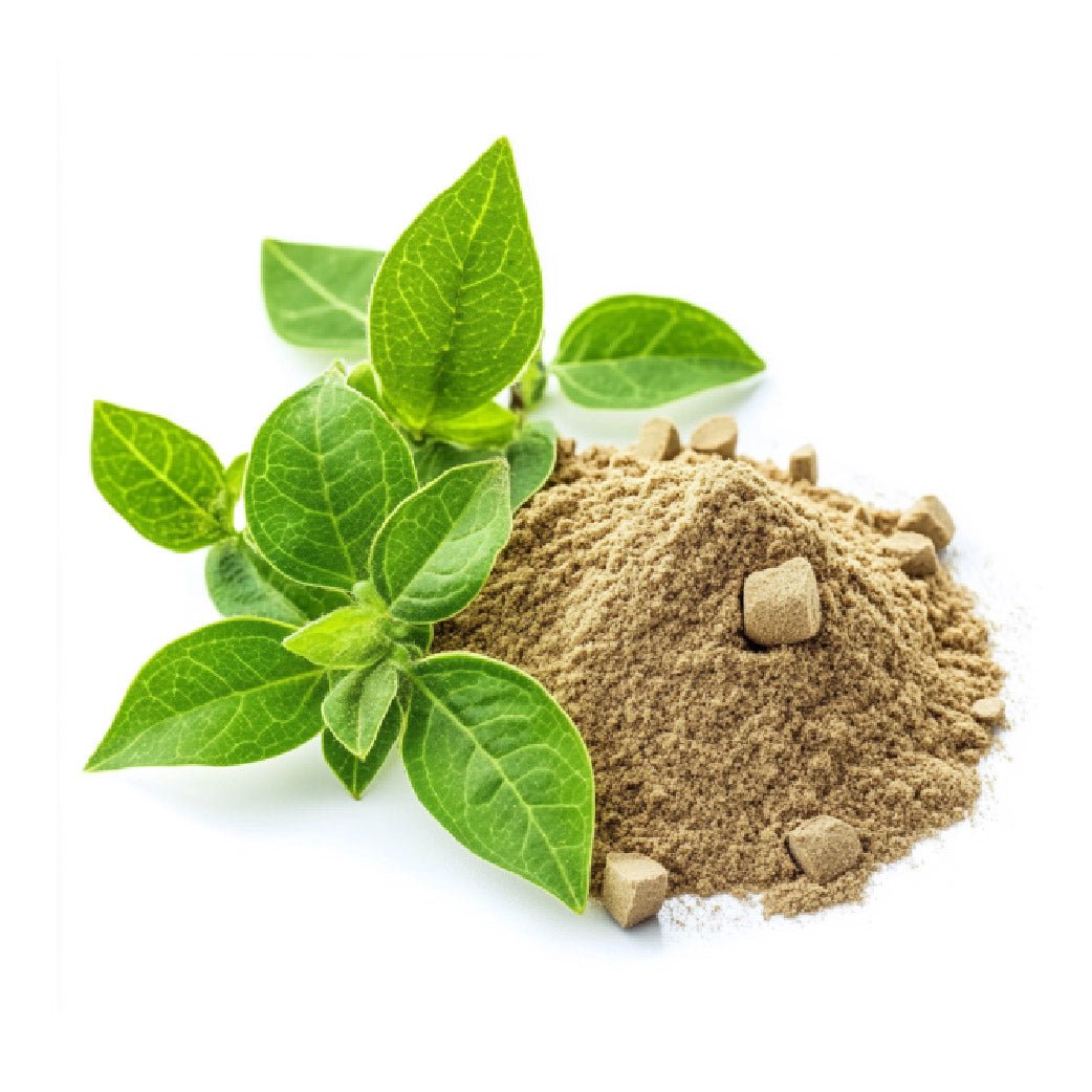 Gymnema Sylvestre Powder - Bulk - The Health Junkie