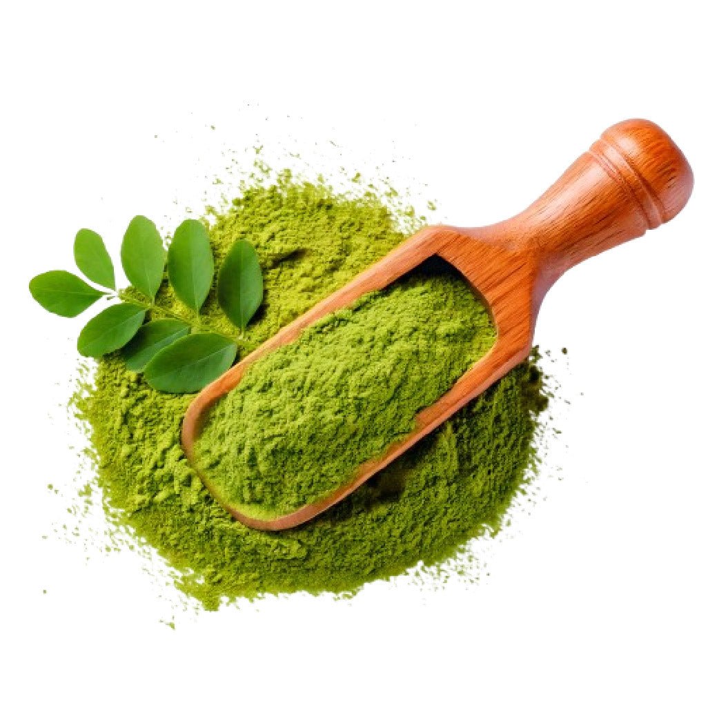 Moringa Powder - Bulk - The Health Junkie
