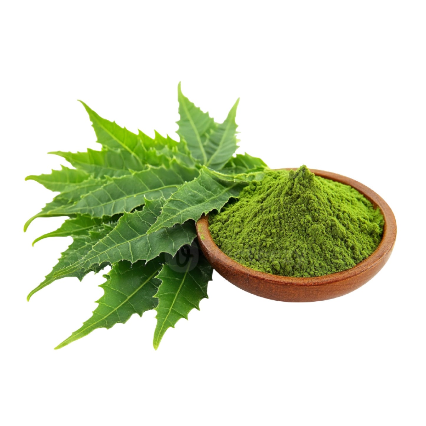 Neem Powder - Bulk - The Health Junkie