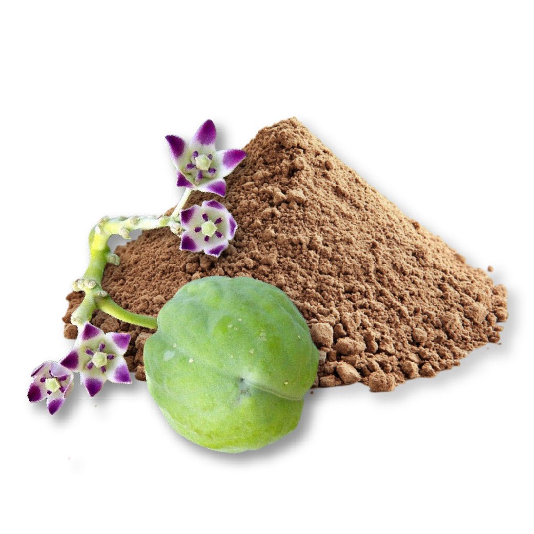 Sodom Apple Powder - Bulk - The Health Junkie