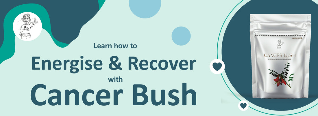 Harness the Healing Power of Cancer Bush