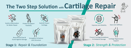 Two-Step Cartilage Repair: Rebuild, Protect, Move Freely - The Health Junkie