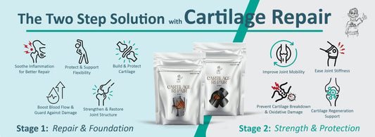 Two-Step Cartilage Repair: Rebuild, Protect, Move Freely