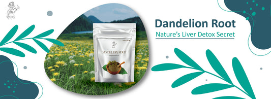 Dandelion Root : A Powerful Herbal Ally for Detox, Digestion, and Energy