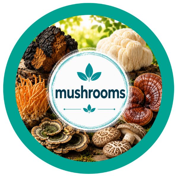 MUSHROOMS - The Health Junkie