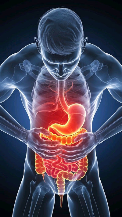 DIGESTIVE HEALTH