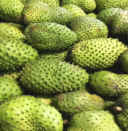 Fresh Soursop Fruit