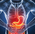 DIGESTIVE HEALTH