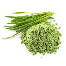 Collection image for: Bulk Powders