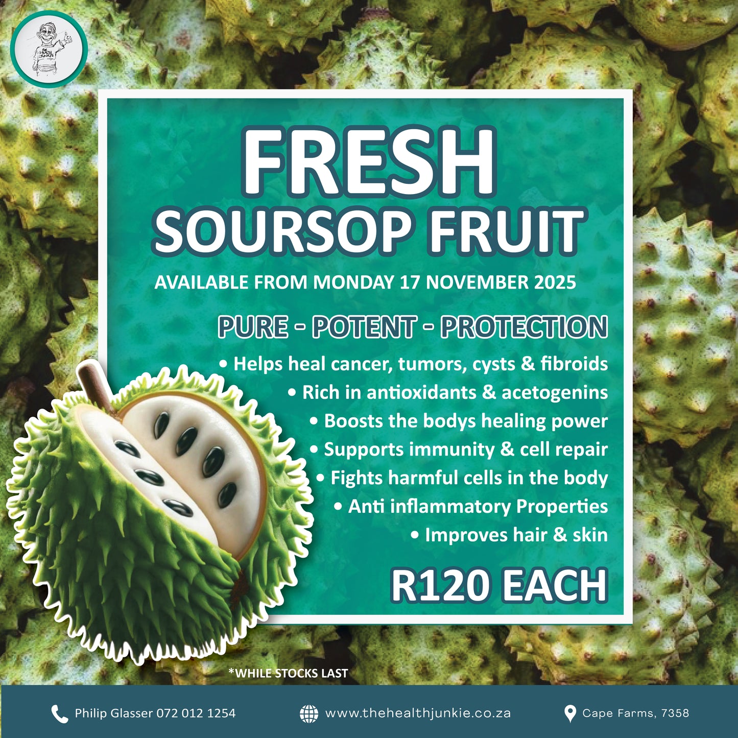 Fresh Soursop Fruit