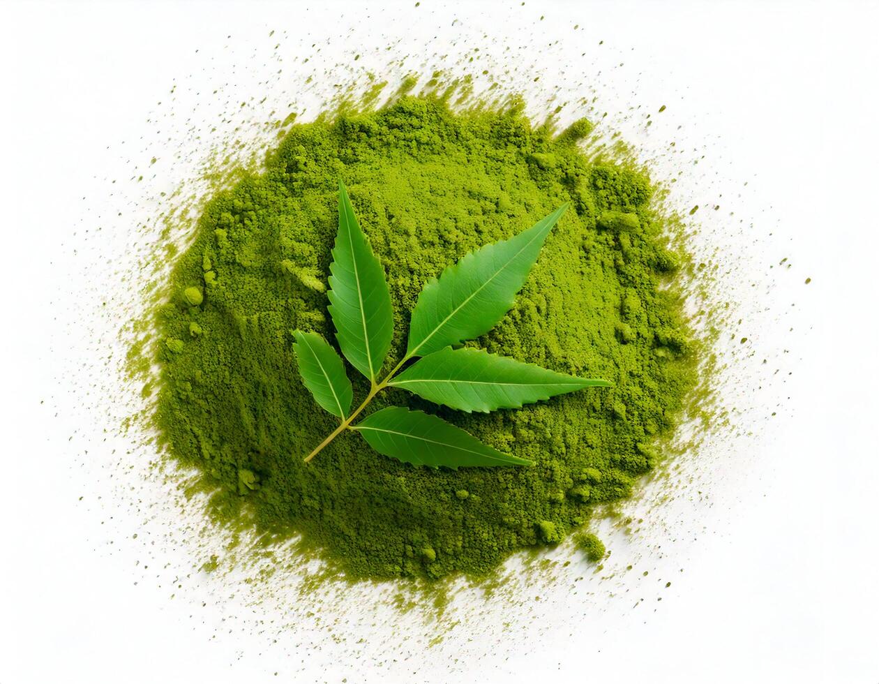 Neem Powder - Bulk