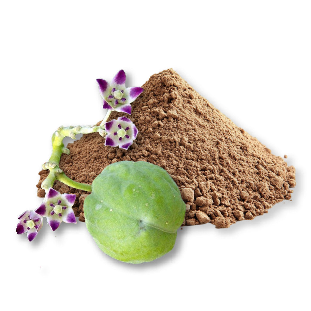 Sodom Apple Powder - Bulk
